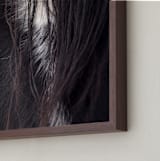 "Bucker" - Art Print in Wild Black by Leslie Le Coq - Frame Close-up