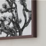 "Joshua Tree in September" - Art Print in Charcoal by Katie Doherty - Frame Close-up