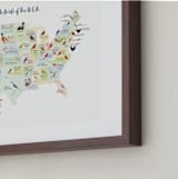 "State Birds of the USA" - Art Print in Natural by Cynthia Jacquette - Frame Close-up