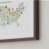 "State Birds of the USA" - Art Print in Natural by Cynthia Jacquette - Frame Close-up