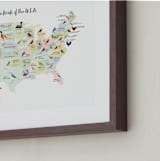 "State Birds of the USA" - Art Print in Natural by Cynthia Jacquette - Frame Close-up