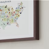 "State Birds of the USA" - Art Print in Natural by Cynthia Jacquette - Frame Close-up