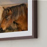 "Icelandic Horses II" - Art Print in Golden by Crystal Lynn Collins - Frame Close-up