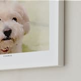 "Your Pet: Landscape Custom Text Print" - Custom Print in White by Minted - Frame Close-up