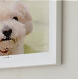 "Your Pet: Landscape Custom Text Print" - Custom Print in White by Minted - Frame Close-up