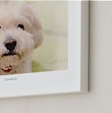 "Your Pet: Landscape Custom Text Print" - Custom Print in White by Minted - Frame Close-up