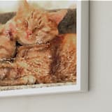 "Custom Pet Portrait - Landscape" - Custom Print in White by Minted - Frame Close-up
