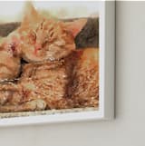 "Custom Pet Portrait - Landscape" - Custom Print in White by Minted - Frame Close-up