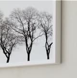 "abstract trees" - Art Print in ink by Baumbirdy - Frame Close-up