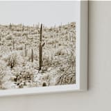 "Dusty Cacti" - Art Print in Dust by Lisa Assenmacher - Frame Close-up