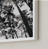 "In the Woods" - Art Print in black and white by lulu and isabelle - Frame Close-up
