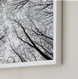 "Lost in the forest" - Art Print in Black and White by Magdalena Kucova - Frame Close-up