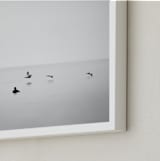 "Flight" - Art Print in Grey by Stephanie Sherman - Frame Close-up