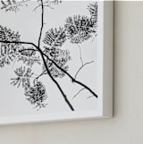 "Botanical Silhouette" - Art Print in Black and White by Kaitlin Rebesco - Frame Close-up