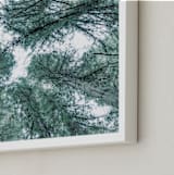 "Mystifying Forest" - Art Print in Forest Green by Jessica C Nugent - Frame Close-up