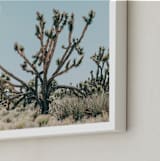 "josh" - Art Print in desert green by Kristi Jackson - Frame Close-up