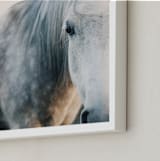 "Seeing" - Art Print in Mist by ALICIA BOCK - Frame Close-up
