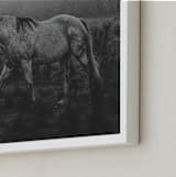 "Frolicking Fille" - Art Print in Charcoal Black by Hollie Renner Photography - Frame Close-up