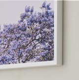 "Jacaranda in bloom" - Art Print in lavender by Owl and Toad - Frame Close-up