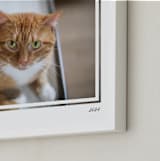 "Artifact: Landscape Framed Photo" - Framed Photo in Charcoal by Snow and Ivy - Frame Close-up