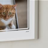 "Artifact: Landscape Framed Photo" - Framed Photo in Charcoal by Snow and Ivy - Frame Close-up