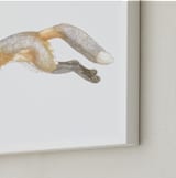 "Swift Fox" - Art Print in fox orange by Natalie Groves - Frame Close-up