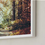 "Redwoods Path" - Art Print in Redwood Path by Elena Kulikova - Frame Close-up
