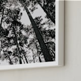 "In the Woods" - Art Print in black and white by lulu and isabelle - Frame Close-up
