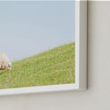 "Sheep at Lunch" - Art Print in Apple Green by Alexandra Feo - Frame Close-up