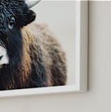 "Thomas Bangs" - Art Print in Black Brown by Amy Carroll - Frame Close-up