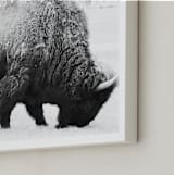 "Living Remnants of the Not-So-Distant Past" - Art Print in Black and White by Shannon Dunlap - Frame Close-up
