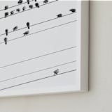 "birds in the meeting 1" - Art Print in classic black and white by Qing Ji - Frame Close-up
