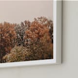 "Oak Leaves and Snowflakes" - Art Print in Autumn Oak by ALICIA BOCK - Frame Close-up