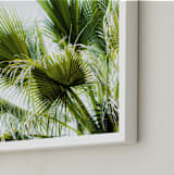 "Singularity" - Art Print in Palm Green by Bethania Lima - Frame Close-up