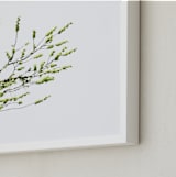 "Sun seeking" - Art Print in Green by Eliane Lamb - Frame Close-up