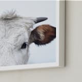 "Wee Staredown" - Art Print in Farm by Amy Carroll - Frame Close-up