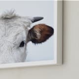 "Wee Staredown" - Art Print in Farm by Amy Carroll - Frame Close-up