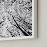 "Lost in the forest" - Art Print in Black and White by Magdalena Kucova - Frame Close-up
