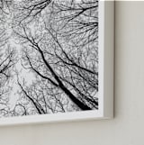 "Lost in the forest" - Art Print in Black and White by Magdalena Kucova - Frame Close-up