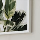 "Diane" - Art Print in Variegated Green by Kristi Jackson - Frame Close-up