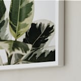 "Diane" - Art Print in Variegated Green by Kristi Jackson - Frame Close-up