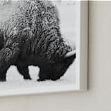 "Living Remnants of the Not-So-Distant Past" - Art Print in Black and White by Shannon Dunlap - Frame Close-up
