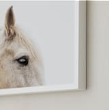 "Le Creme Cheval" - Art Print in Peaches + Cream by Amy Carroll - Frame Close-up