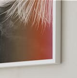 "Pink Pony" - Art Print in gray by ALICIA BOCK - Frame Close-up