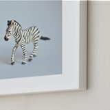 "Oh, Zebra" - Art Print in Soft Grey by Kinga Subject - Frame Close-up
