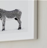 "Counting Stripes" - Art Print in Cream by Lisa Sundin - Frame Close-up