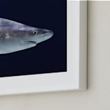"Deep Blue" - Art Print in Steel Blue by Hollie Renner Photography - Frame Close-up