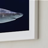 "Deep Blue" - Art Print in Steel Blue by Hollie Renner Photography - Frame Close-up