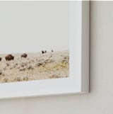 "On the Move" - Art Print in summer by Kamala Nahas - Frame Close-up