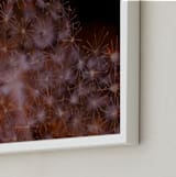 "Starry Visions" - Art Print in tangerine by Amelia Gluba - Frame Close-up